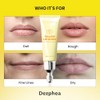 DERPHEA Organic Beef Tallow Lip Balm – 8H Moisturizing for