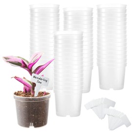 Rsipelsk 60 Pcs 4 Inch Clear Nursery Pots for Plants, Transparent Plastic Plant Pots with Drain Holes, Seed Starter Pots with 20 Plant Labels for Flowers Vegetable Seedlings