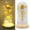 Rose in Glass Dome Lucky Beautiful Symbolism Romantic Enchanted Rose