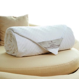 CUDDLE DREAMS Silk Comforter for Spring/Summer/Fall, 100% Long-Strand Silk Filling, Natural & Breathable (Kids, 60 in x 50 in)