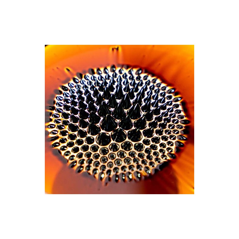 Ferrofluid (magnets4you) Liquid Iron, Magnetic Liquid for Illustrating Magnetic Field