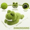 Gisqis Green Frog Stuffed Animal 17.7INCH 1.56IB
