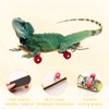 Mini Tortoise Skateboard for Small Pets - Fun Turtle Skateboard