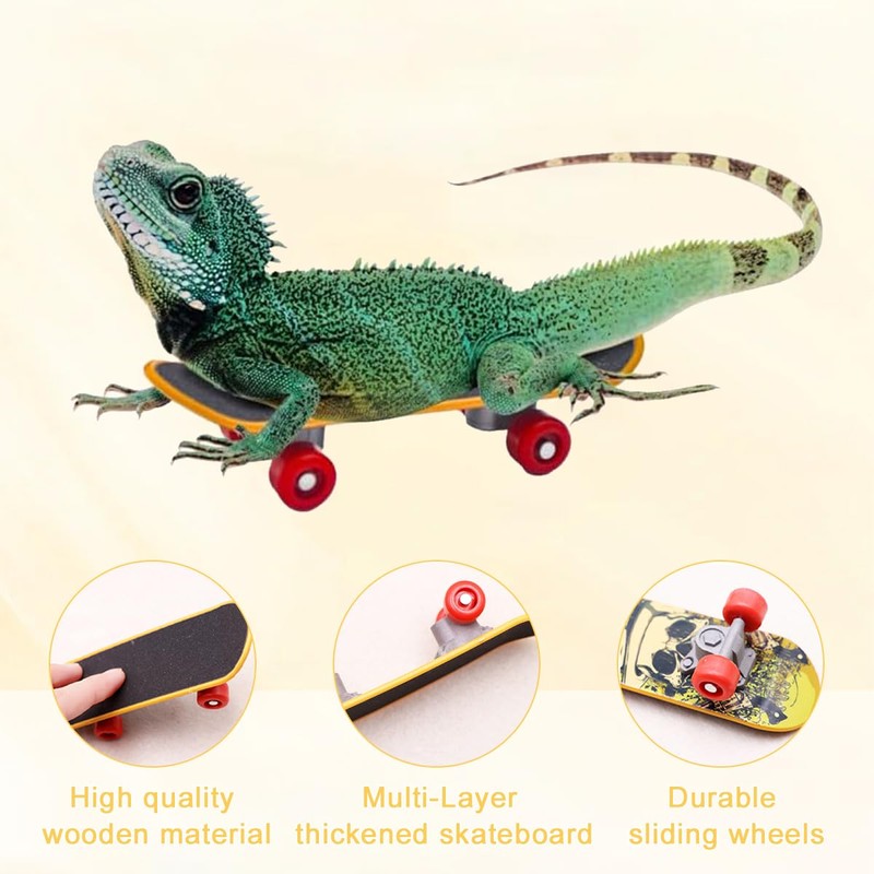 Mini Tortoise Skateboard for Small Pets - Fun Turtle Skateboard