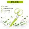 Cooking Scissors Shredder Scissors Stainless Steel Onion Nori Nori Scissors