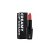 Etienne Creamy Lip Color 111 Latte Brown / 에띠앙 크리미