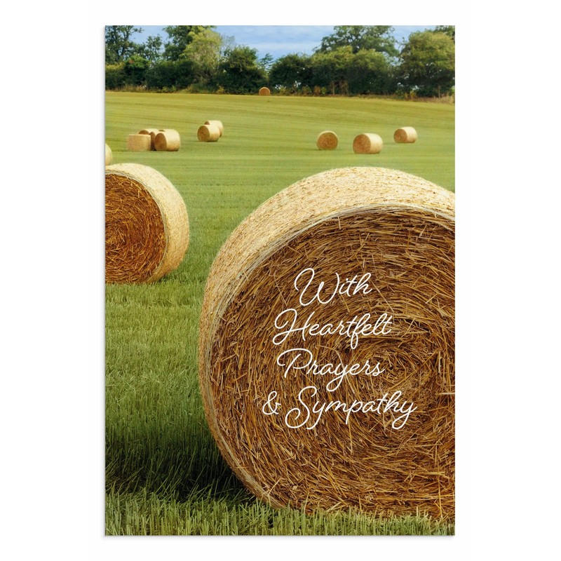 DaySpring - Sympathy - 4 Design Assortment with King James