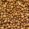 Growcery Premium Clay Pebbles For Plants: Multipurpose Growing Medium for
