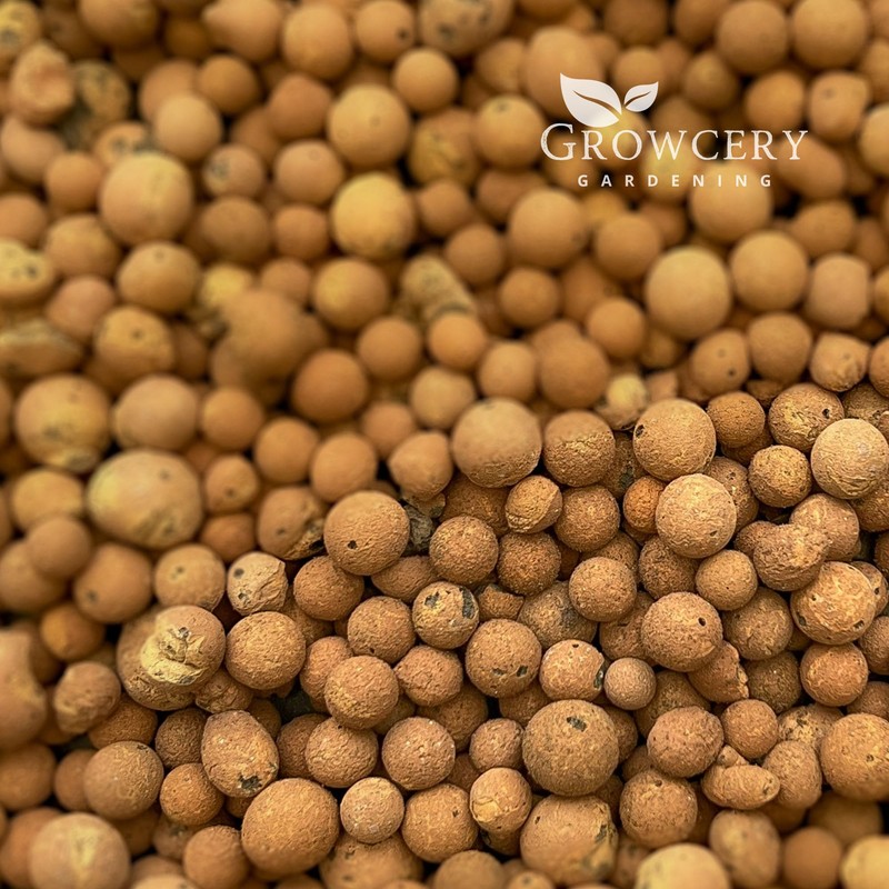 Growcery Premium Clay Pebbles For Plants: Multipurpose Growing Medium for