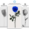 OSIAX Single Preserved Rose with Necklace (Royal Blue)