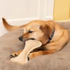 SPOT Dura-Fused Leather Bone- Durable Dog Toy with Squeaker, Real