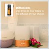 Doterra Zendocrine - Detoxification Oil Blend 15ml by doTERRA