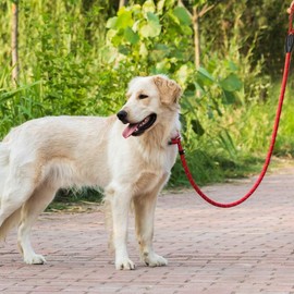 Dog Slip Training Lead Dog Leash Slip Rope Lead for Small Medium Large Dogs Lead (Red, 150CM)