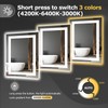 Hivone 28X20 LED Bathroom Mirror with Lights, Anti-Fog, Dimmable, Backlit