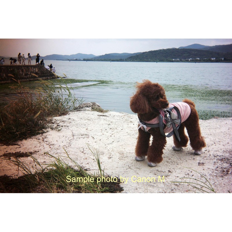 EF-M Mount 32mm/F10 Pancake Lens Focus Free Compatible with EF-M