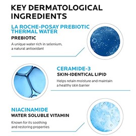La Roche-Posay Double Repair Moisturizer Full Size with Travel Size Mini Toleriane Hydrating Gentle Cleanser