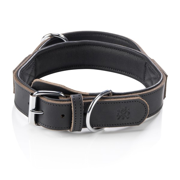 Jack & Russell Leather Dog Collar with Grab Handle -