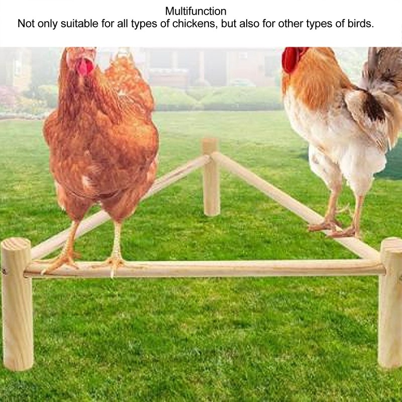 Chicken Perch Stable Triangular Wooden Chick Training Perch Toy Interactive