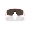 Bliz Sunglasses Model 0ZB7015, 06 - Matte Powder Pink Brown