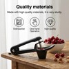 2pcs Cherry Pitter and Olive Pitter Tool, Cherry Stoner Remove