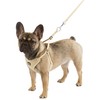 Kerbl Puppy Harness with Rope, 30-50 cm/10 mm, Beige
