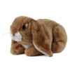 Living Nature AN40 Soft Toy Lop Eared Rabbits 3 Designs,