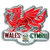 WELSH DRAGON METALLIC FRIDGE MAGNET - GREAT SOUVENIR GIFT FROM