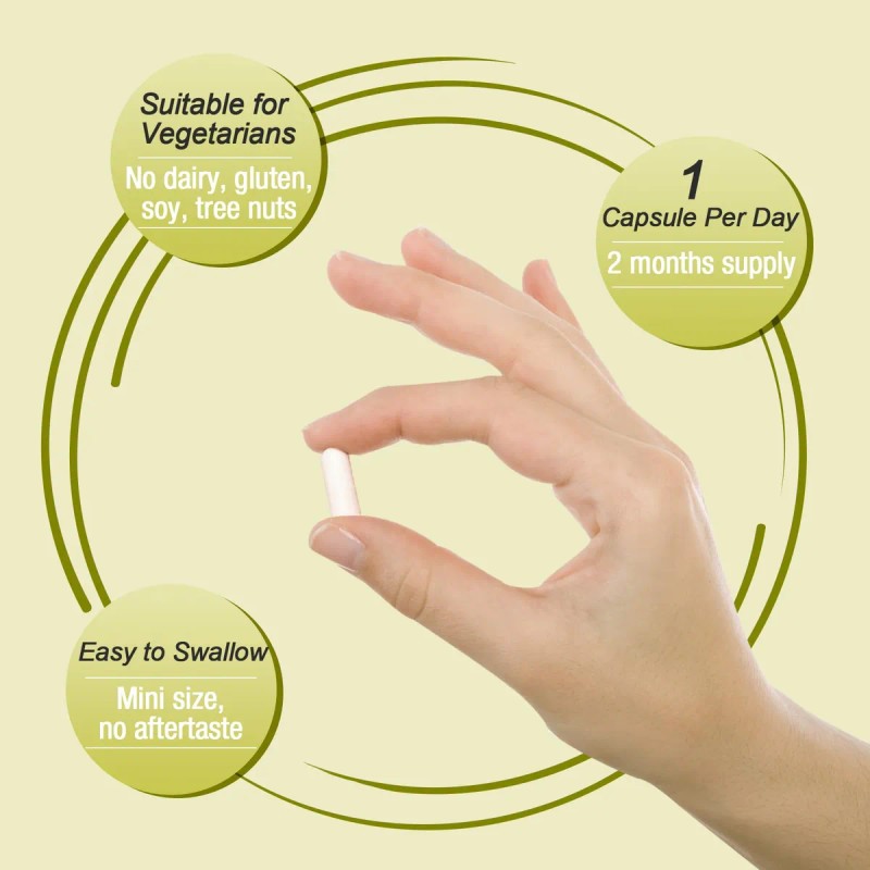 Ascuoli Probióticos 300b Ufc 22 Cepas 15 Hierbas Orgánicas