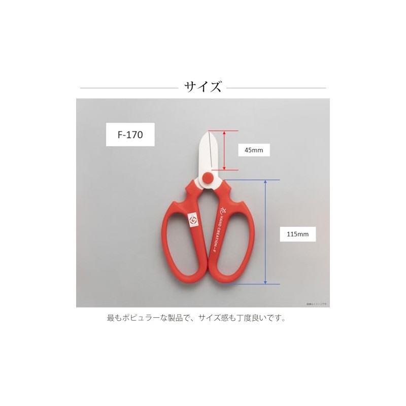 Hand Creation F170 Violet