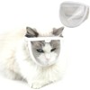Mesh Transparent Cat Face Guard,PVC Cat Face Guard,PVC Mesh Clear