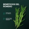 Pack 2 Shampoo Anticaída Romerox Tratamiento Cabello Barba