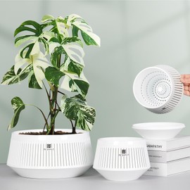 Meshpot 8 inch Plant Pots Indoor with Drainge and Good Airflow,Set of 1 Plastic Planters for Indoor and Outdoor Plants, Large Flower Pot with Air-Pruning for Potho,Snake Plants,Cacti,Orchids,Herbs