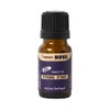 Perdays Nova Strong Start Oral Liquid 9.5ml