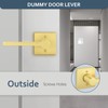 EHOMEWARE Gold Dummy Door Levers Interior Door Handles, Heavy Duty