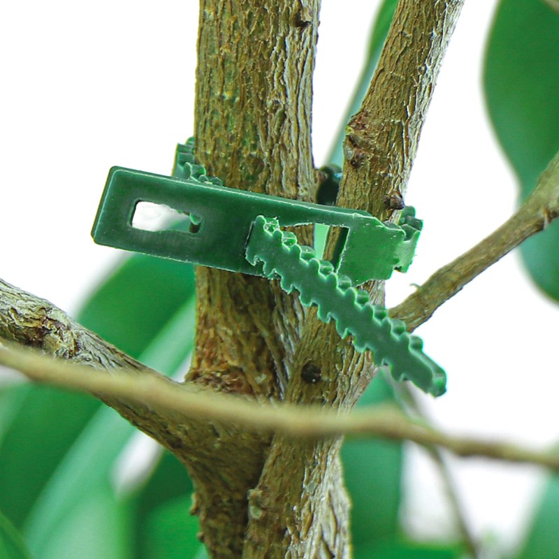 com-four® 200x plant binder - plant binder green - universal