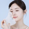 Pozelan H Luster Mask Pack 1 BOX (5 Sheets) /