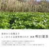 Gabai Farm, Domestically Produced, Handmade Tomorrow Leaf Tea, 0.07 oz