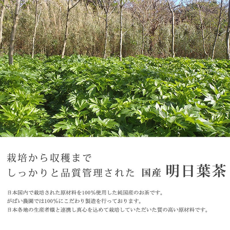Gabai Farm, Domestically Produced, Handmade Tomorrow Leaf Tea, 0.07 oz