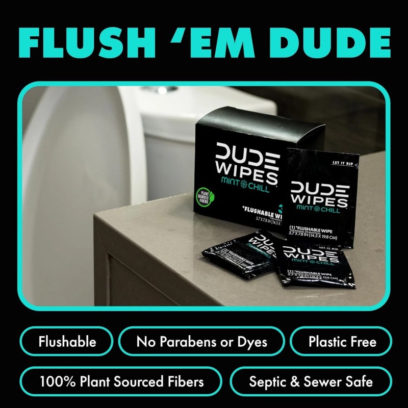 DUDE Wipes - On-The-Go Flushable Wipes - 1 Pack, 30