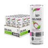 CELSIUS Fizz Free Dragon Fruit Lime, Sugar Free Energy Drink,