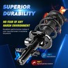 Front Strut Shock Assembly w/Coil Spring for Dodge Dart 2013-2016,