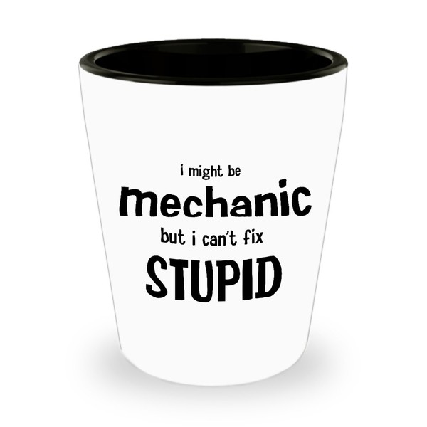 I Might Be a Mechanic But I Can't Fix Stupid.