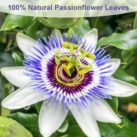 TEARELAE TEARELAE - Passion Flower Tea, 50 Count - Pure Passionflowers Leaves Tea Bags - Pasiflora Tea for Relaxation & Sleep- Non-GMO - Caffeine-Free
