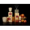 NEST Fragrances 3-Wick Candle- Spiced Orange & Clove, 21.2 oz
