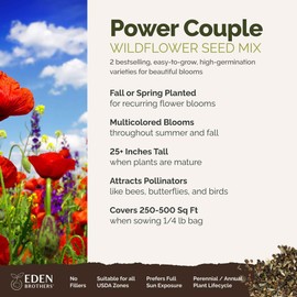Eden Brothers Power Couple Flower Mixed Seeds for Planting, 1/4 lb, 120,000+ Seeds with Rocket Larkspur, Bupleurum | Attracts Pollinators, Plant in Spring or Fall, Zones 3, 4, 5, 6, 7, 8, 9, 10