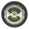 Motorad Engine Coolant Thermostat 7267195