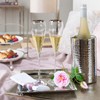 Fink 105002 Kalas Stainless Steel Champagne/Wine Cooler, Silver, 19 x