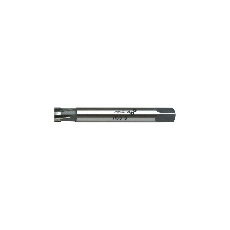 Paulimot Hand Reamer Hss Fit H7 6.0 mm