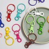 Color Swivel Buckle Key Ring (WFIQ613) / 컬러 회전 버클 개고리 키 링 (WFIQ613)