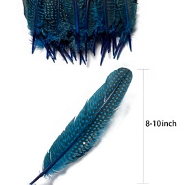 HAPPY FEATHER 6-9 inch Natural Guinea Wing Plumage Feather for DIY Craft, Jewelry and Clothing Decoration Pack of 20-Blue